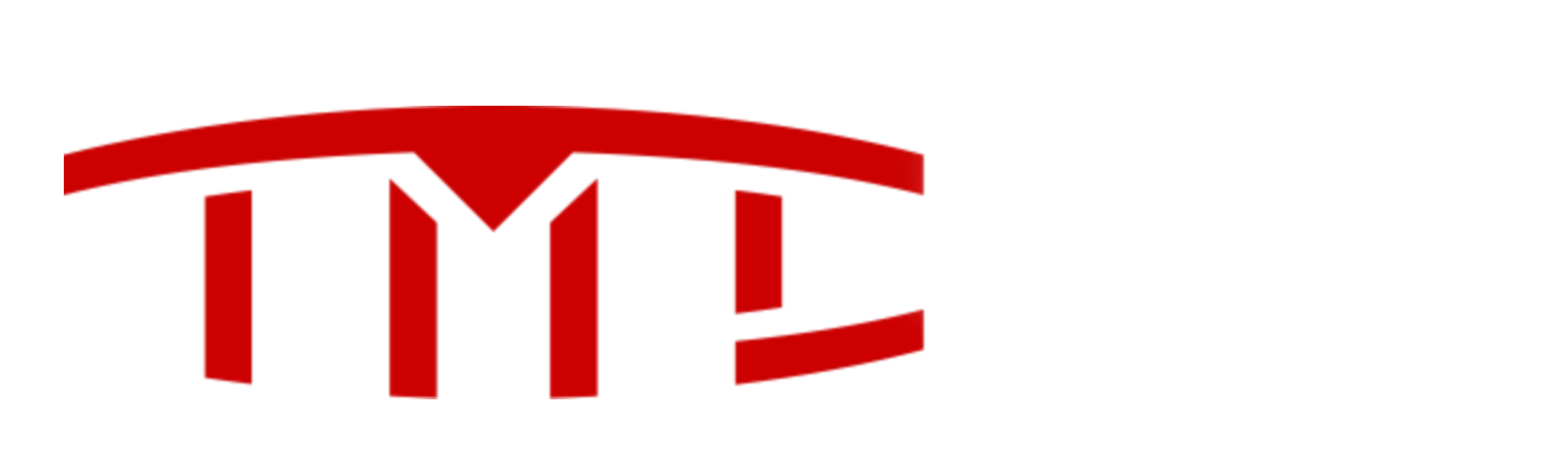 Tesla Partnership Program